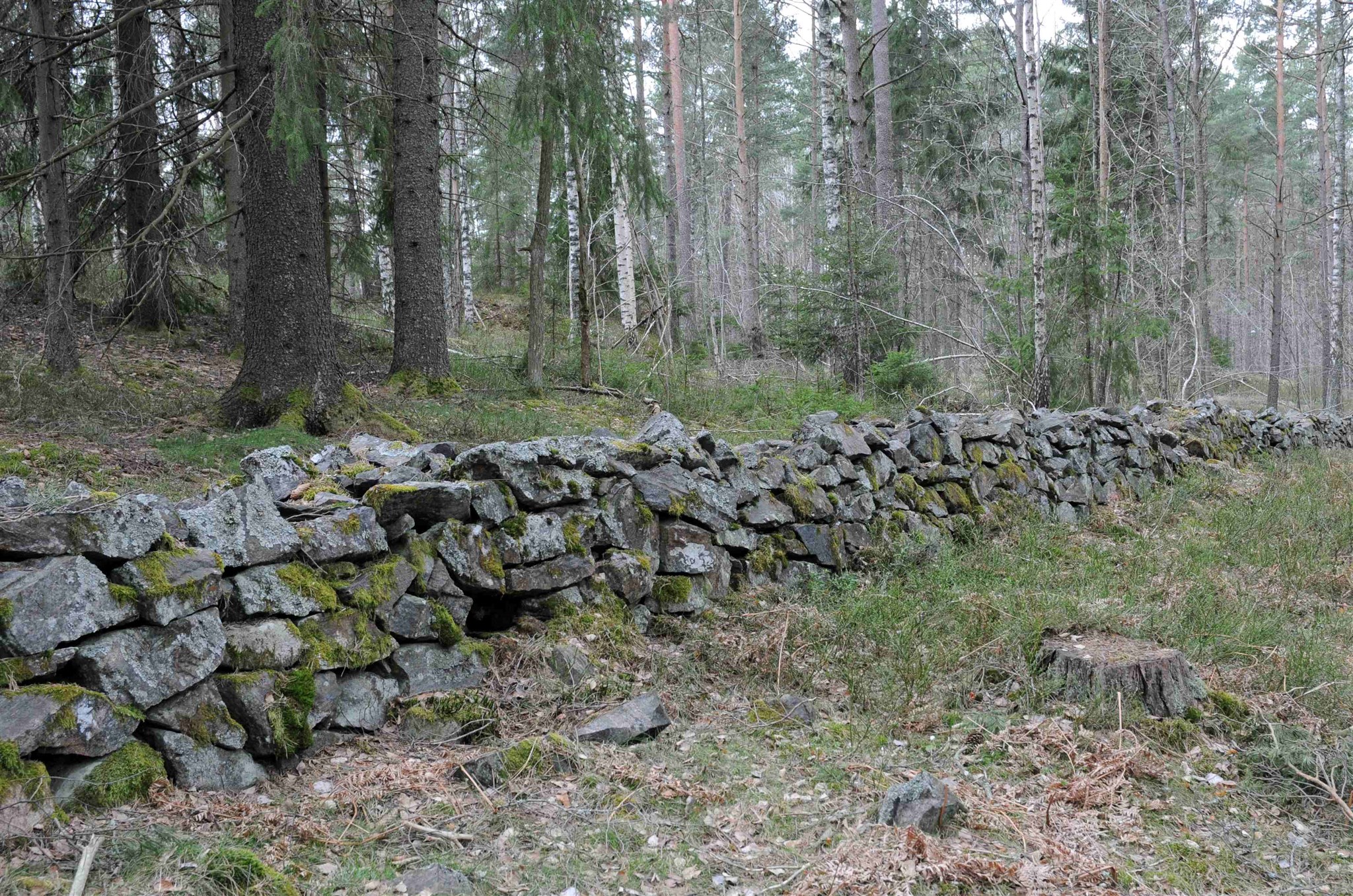 Hägnad2_Hållets_naturreservat_Nyköping_2.jpg